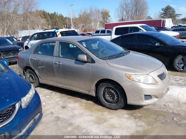 12552850 :رقم المزاد ، 2T1BU4EE2AC207909 vin ، 2010 Toyota Corolla مزاد بيع