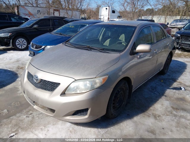 12552850 :رقم المزاد ، 2T1BU4EE2AC207909 vin ، 2010 Toyota Corolla مزاد بيع