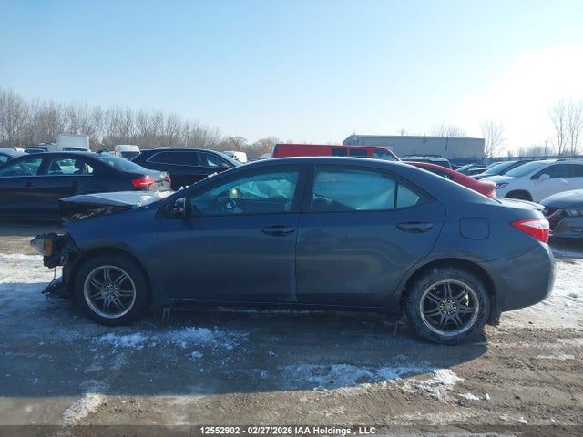 2T1BURHE2GC667203 Toyota Corolla