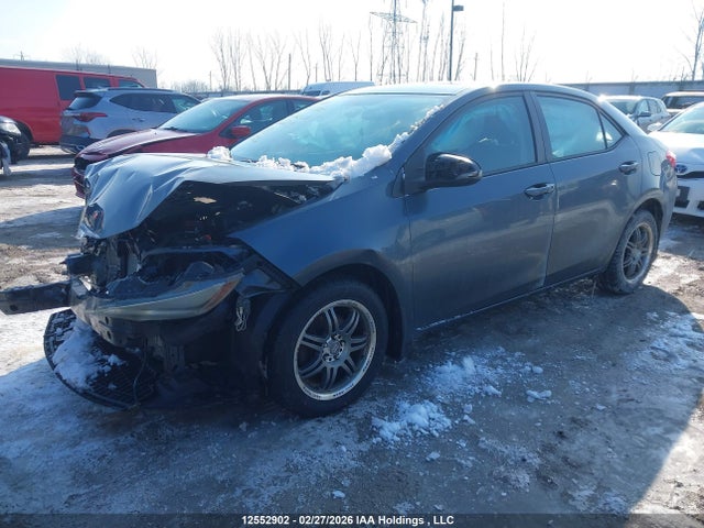 2T1BURHE2GC667203 Toyota Corolla