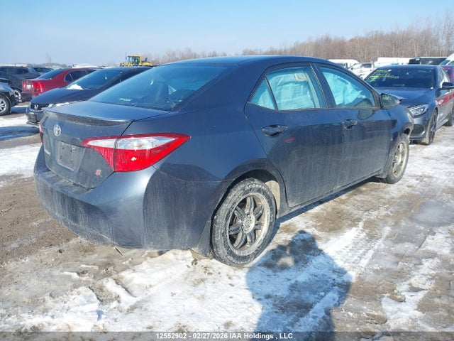 2T1BURHE2GC667203 Toyota Corolla
