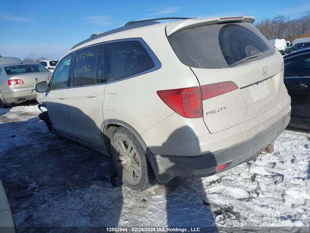 Продаж на аукціоні авто 2018 Honda Pilot Ex, vin: 5FNYF6H35JB502962, номер лоту: 12552944
