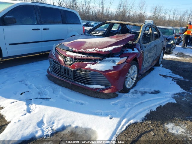 4T1B11HK4JU539812 Toyota Camry L/le/xle/se/xse