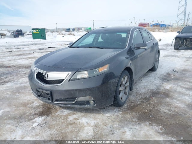 Продажа на аукционе авто 2012 Acura Tl, vin: 19UUA8F24CA800242, номер лота: 12553000
