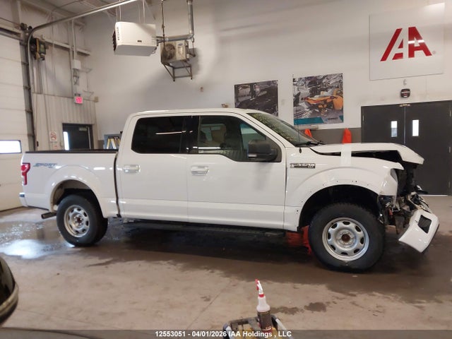 Продаж на аукціоні авто 2019 Ford F150 Supercrew, vin: 1FTEW1EP1KFD35834, номер лоту: 12553051