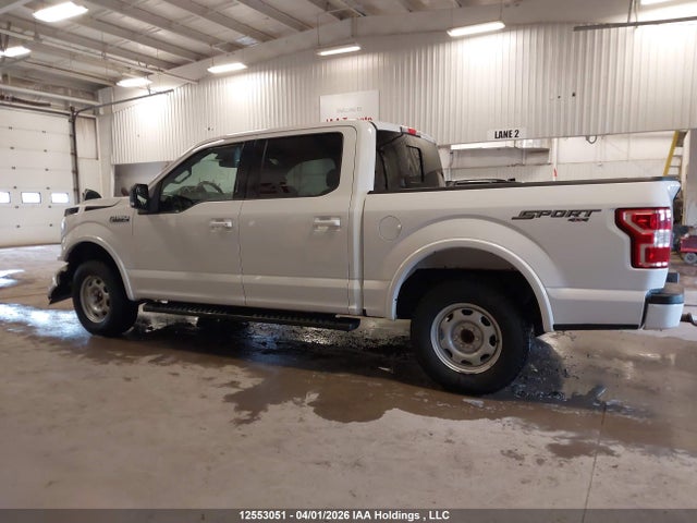 Продаж на аукціоні авто 2019 Ford F150 Supercrew, vin: 1FTEW1EP1KFD35834, номер лоту: 12553051