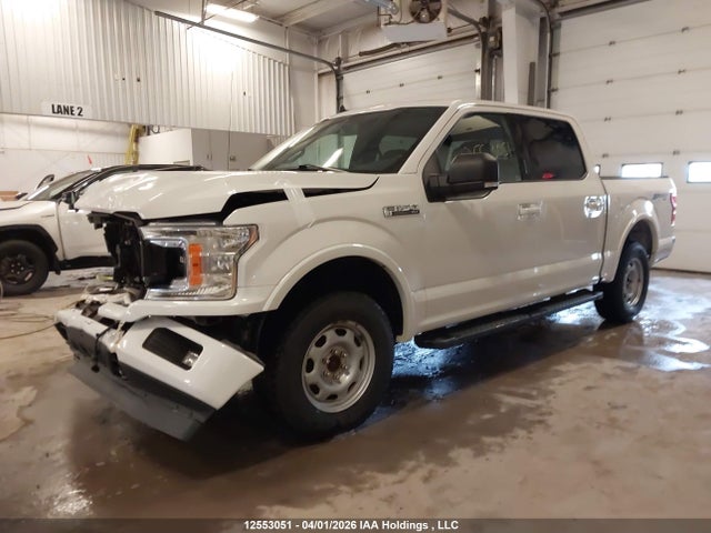 Продаж на аукціоні авто 2019 Ford F150 Supercrew, vin: 1FTEW1EP1KFD35834, номер лоту: 12553051