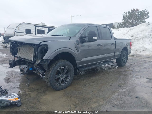 Продаж на аукціоні авто 2023 Ford F-150 Xlt, vin: 1FTFW1E54PFD01803, номер лоту: 12553142