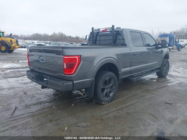 Продаж на аукціоні авто 2023 Ford F-150 Xlt, vin: 1FTFW1E54PFD01803, номер лоту: 12553142