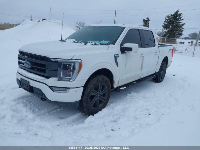 Продажа на аукционе авто 2021 Ford F-150 Lariat, vin: 1FTEW1EP7MFB72593, номер лота: 12553147