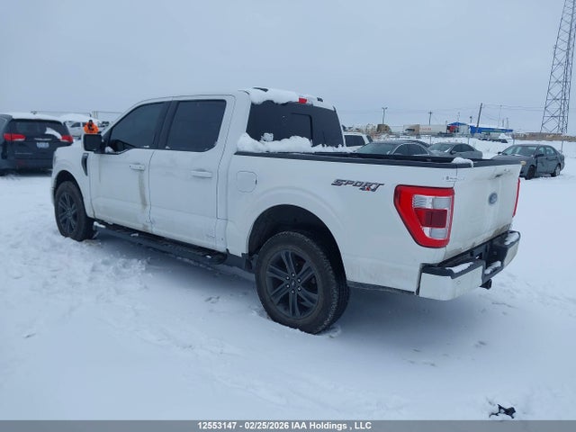 Продажа на аукционе авто 2021 Ford F-150 Lariat, vin: 1FTEW1EP7MFB72593, номер лота: 12553147