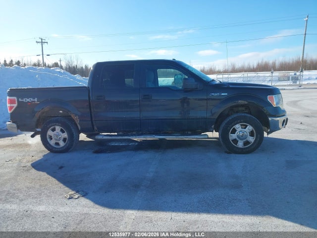 1FTFW1EF9EKG12978 Ford F-150 Xlt