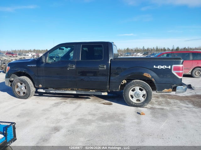 1FTFW1EF9EKG12978 Ford F-150 Xlt