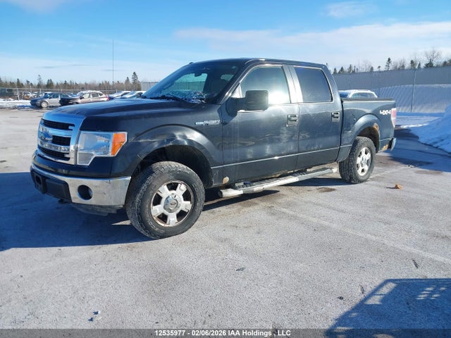 1FTFW1EF9EKG12978 Ford F-150 Xlt