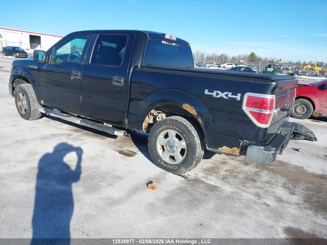 1FTFW1EF9EKG12978 Ford F-150 Xlt