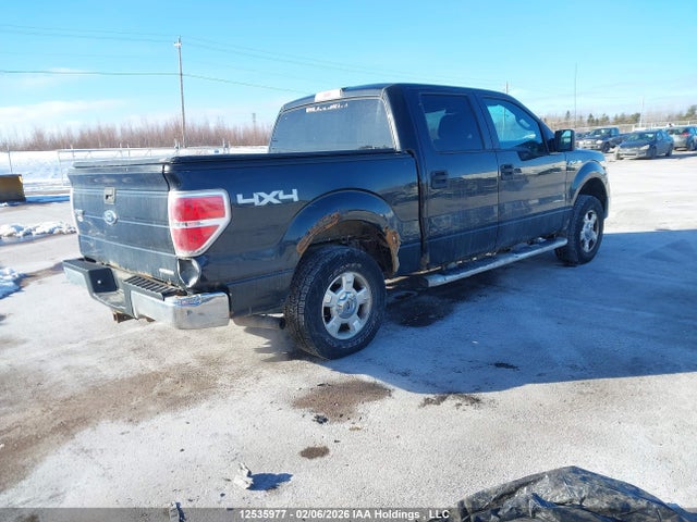 1FTFW1EF9EKG12978 Ford F-150 Xlt