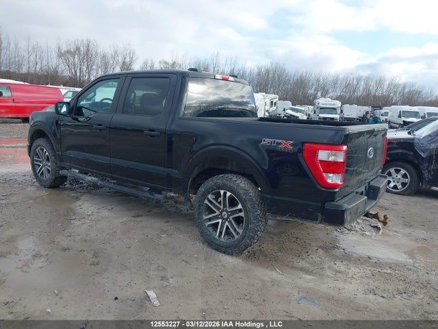 12553227 :رقم المزاد ، 1FTEW1EP8PFC13771 vin ، 2023 Ford F-150 Xl مزاد بيع