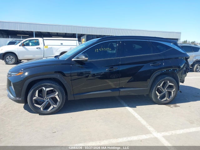 KM8JCCA1XPU108791 Hyundai Tucson Luxury