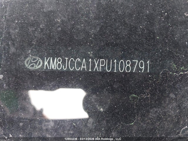 KM8JCCA1XPU108791 Hyundai Tucson Luxury