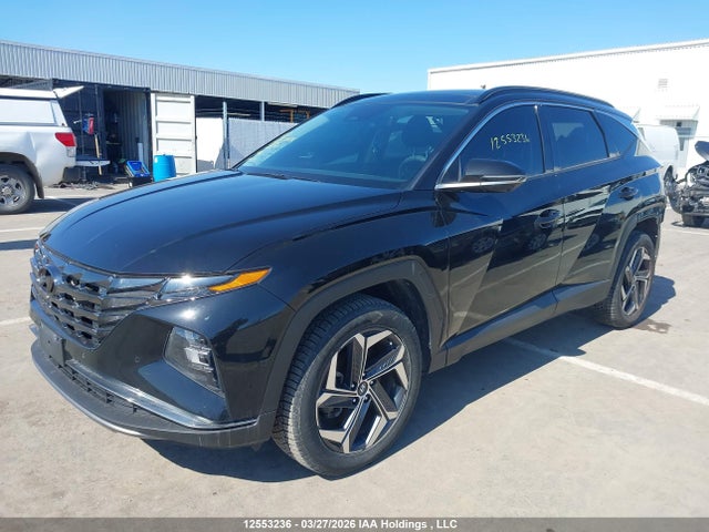 KM8JCCA1XPU108791 Hyundai Tucson Luxury