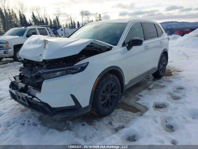 Продаж на аукціоні авто 2024 Honda Cr-v Exl, vin: 2HKRS6H73RH205074, номер лоту: 12553322