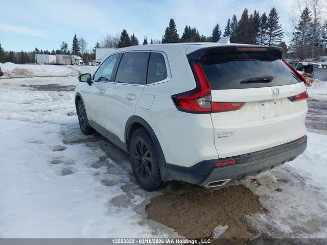 Продаж на аукціоні авто 2024 Honda Cr-v Exl, vin: 2HKRS6H73RH205074, номер лоту: 12553322