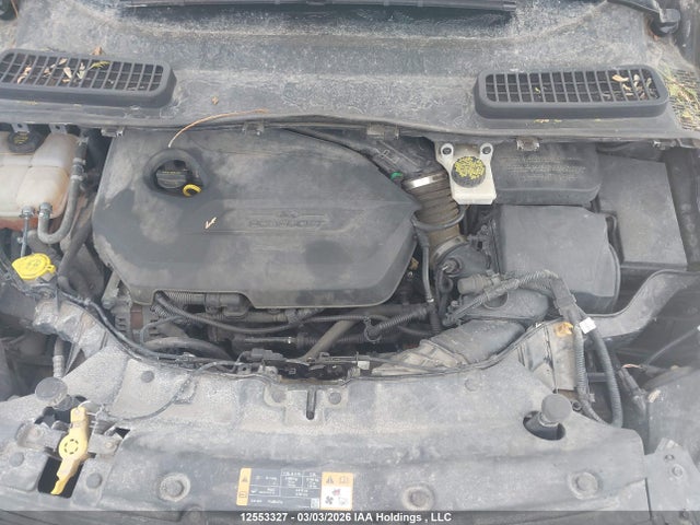 Aukcja sprzedaży 2014 Ford Escape Se, vin: 1FMCU0GX7EUA87282, numer aukcji: 12553327