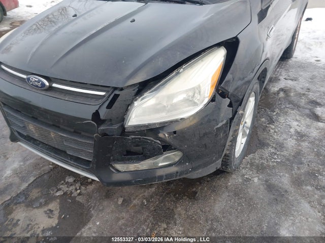 Aukcja sprzedaży 2014 Ford Escape Se, vin: 1FMCU0GX7EUA87282, numer aukcji: 12553327