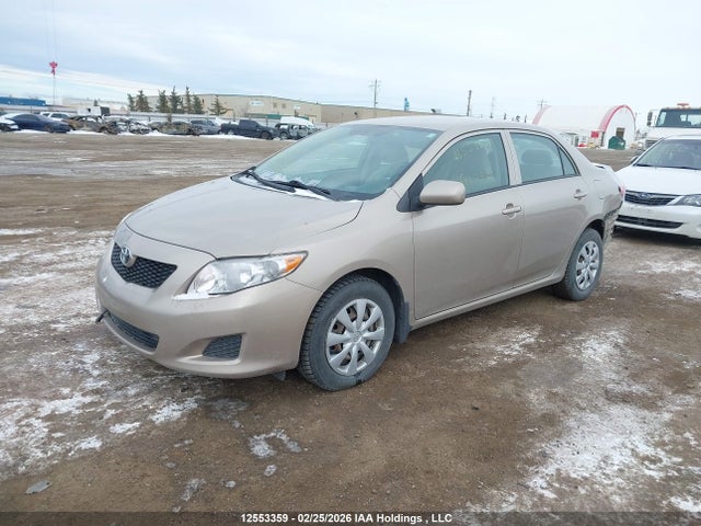 Aukcja sprzedaży 2010 Toyota Corolla Ce, vin: 2T1BU4EE3AC191316, numer aukcji: 12553359