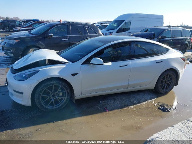Продаж на аукціоні авто 2021 Tesla Model 3 Standard Range/standard Range Plus, vin: 5YJ3E1EA1MF018441, номер лоту: 12553415