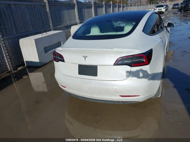 Продаж на аукціоні авто 2021 Tesla Model 3 Standard Range/standard Range Plus, vin: 5YJ3E1EA1MF018441, номер лоту: 12553415
