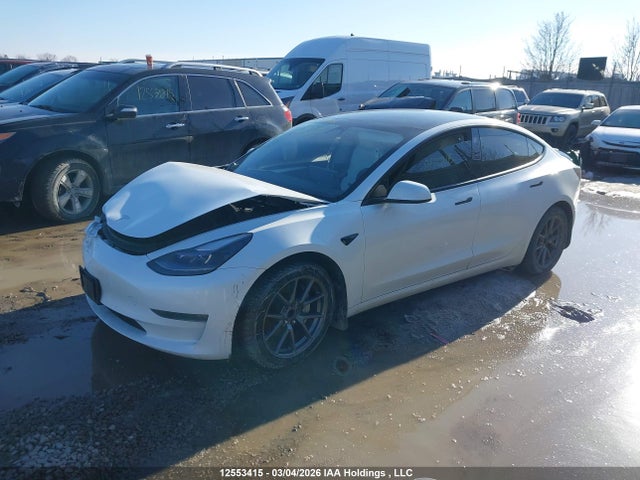 Продаж на аукціоні авто 2021 Tesla Model 3 Standard Range/standard Range Plus, vin: 5YJ3E1EA1MF018441, номер лоту: 12553415