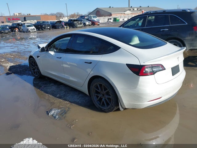 Продаж на аукціоні авто 2021 Tesla Model 3 Standard Range/standard Range Plus, vin: 5YJ3E1EA1MF018441, номер лоту: 12553415