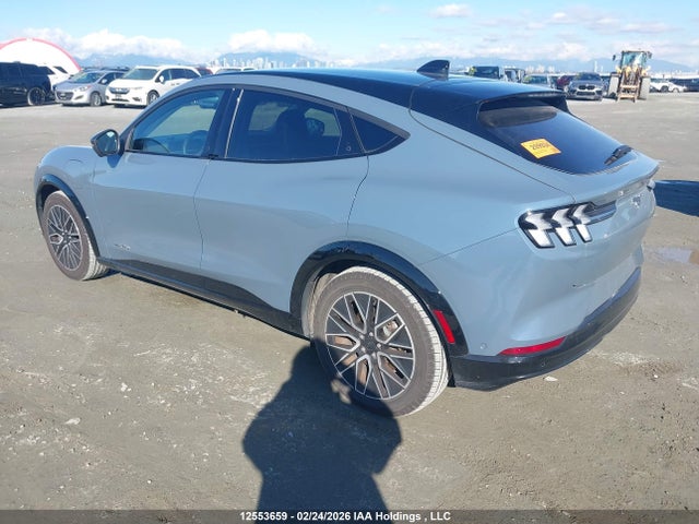 Aukcja sprzedaży 2024 Ford Mustang Mach-e Premium, vin: 3FMTK3S59RMA15989, numer aukcji: 12553659
