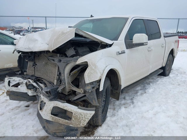 12553667 :رقم المزاد ، 1FTEW1E4XLKE75248 vin ، 2020 Ford F150 Supercrew مزاد بيع