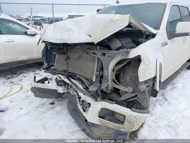 12553667 :رقم المزاد ، 1FTEW1E4XLKE75248 vin ، 2020 Ford F150 Supercrew مزاد بيع