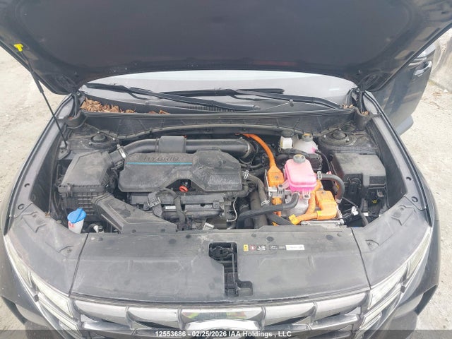 Aukcja sprzedaży 2024 Hyundai Tucson Sel Convenience, vin: KM8JCCD18RU138127, numer aukcji: 12553686