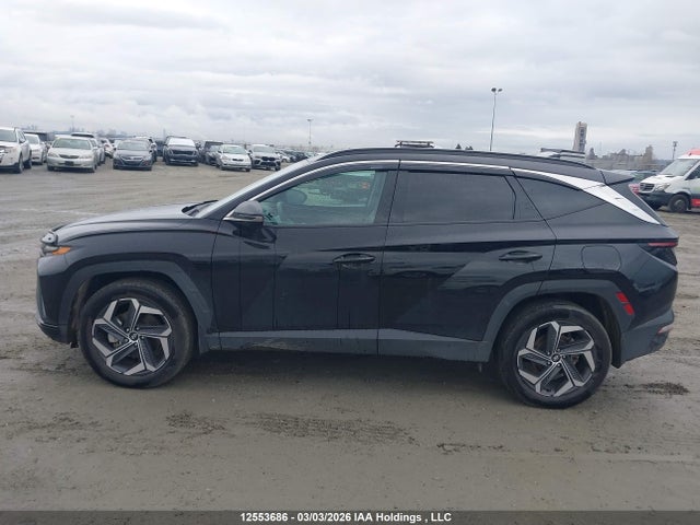 Aukcja sprzedaży 2024 Hyundai Tucson Sel Convenience, vin: KM8JCCD18RU138127, numer aukcji: 12553686