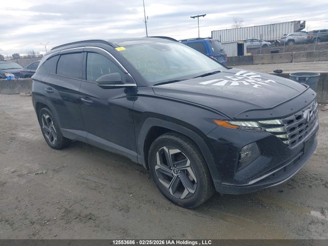 Aukcja sprzedaży 2024 Hyundai Tucson Sel Convenience, vin: KM8JCCD18RU138127, numer aukcji: 12553686
