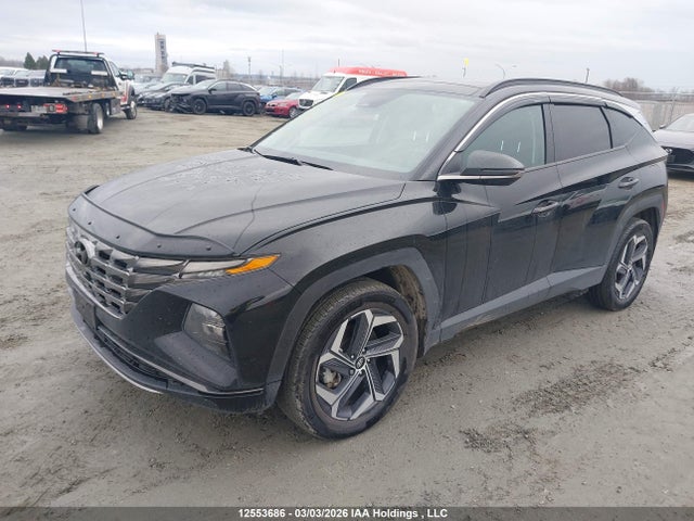 Aukcja sprzedaży 2024 Hyundai Tucson Sel Convenience, vin: KM8JCCD18RU138127, numer aukcji: 12553686