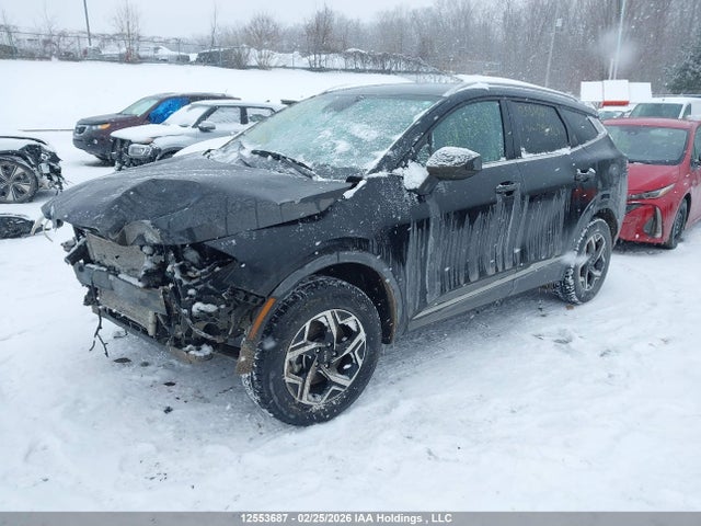 Продажа на аукционе авто 2024 Kia Sportage Lx, vin: KNDPUCDF6R7296861, номер лота: 12553687