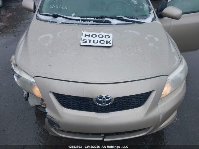 12553703 :رقم المزاد ، 2T1BU4EE9AC231107 vin ، 2010 Toyota Corolla Ce مزاد بيع