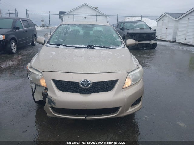 12553703 :رقم المزاد ، 2T1BU4EE9AC231107 vin ، 2010 Toyota Corolla Ce مزاد بيع