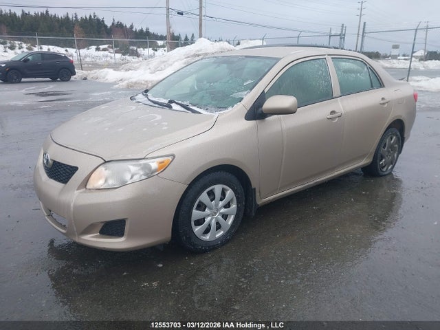 12553703 :رقم المزاد ، 2T1BU4EE9AC231107 vin ، 2010 Toyota Corolla Ce مزاد بيع