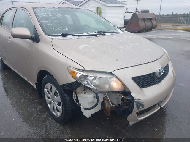 12553703 :رقم المزاد ، 2T1BU4EE9AC231107 vin ، 2010 Toyota Corolla Ce مزاد بيع
