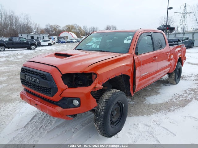 5TFDZ5BNXGX001431 Toyota Tacoma Dbl Cab/sr5/trd Sport/or