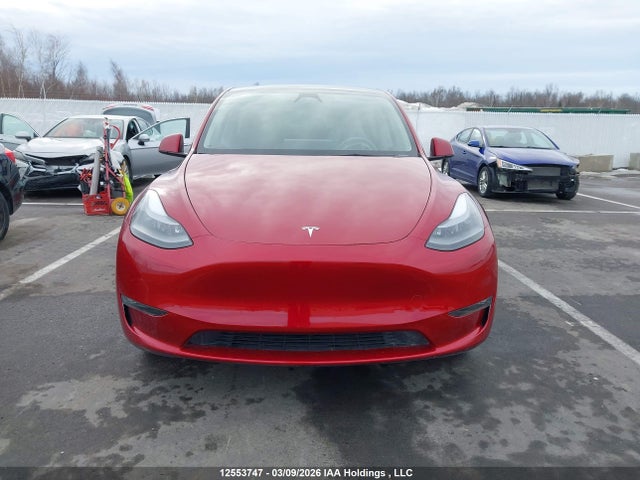 2024 Tesla Model Y მანქანა იყიდება აუქციონზე, vin: 7SAYGDEE8RF043206, აუქციონის ნომერი: 12553747