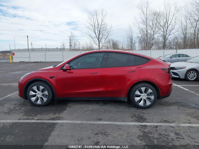 2024 Tesla Model Y მანქანა იყიდება აუქციონზე, vin: 7SAYGDEE8RF043206, აუქციონის ნომერი: 12553747