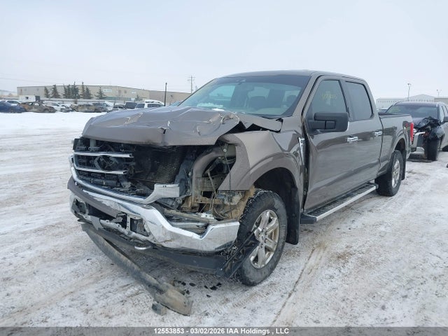 1FTFW1E86MFB21339 Ford F150 Supercrew