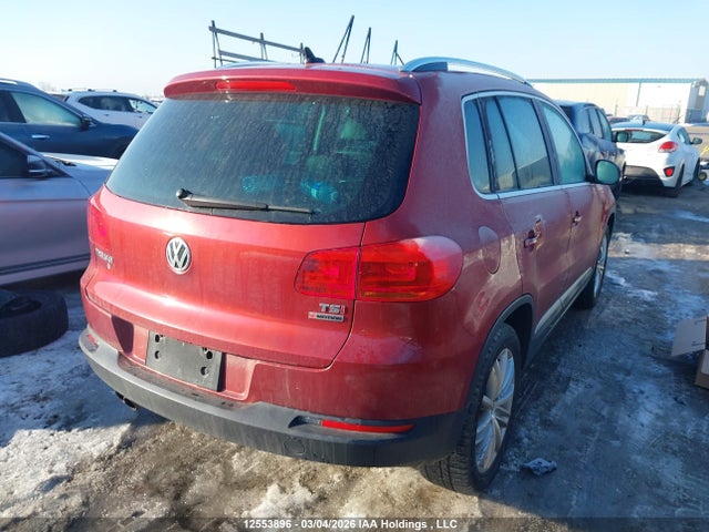 WVGJV7AX4GW067486 Volkswagen Tiguan Comfortline/highline/special Edition